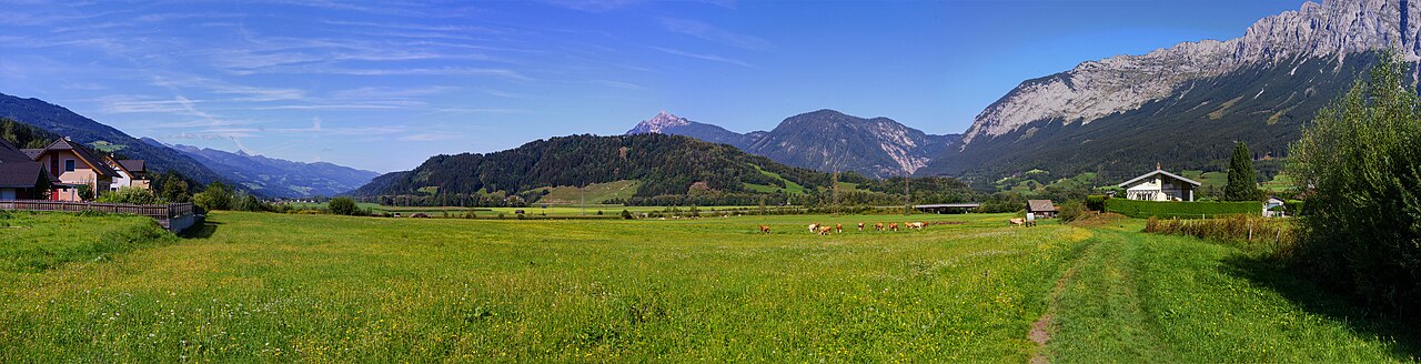 Weite österreichische Landschaft mit grünen Wiesen und Bergkette